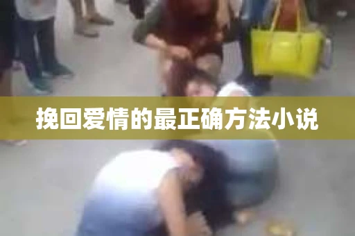 挽回爱情的最正确方法小说