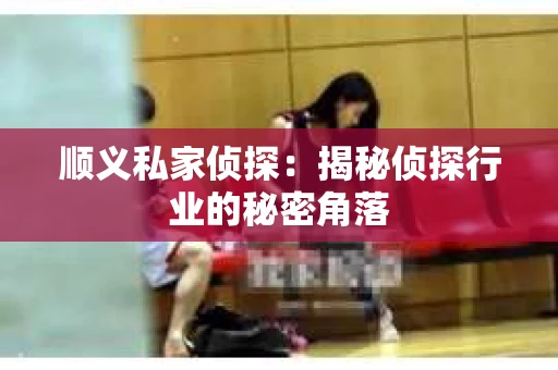 顺义私家侦探：揭秘侦探行业的秘密角落