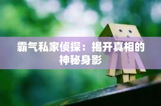 霸气私家侦探：揭开真相的神秘身影