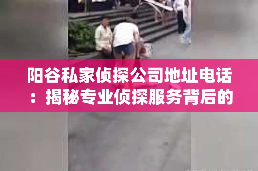 阳谷私家侦探公司地址电话：揭秘专业侦探服务背后的故事