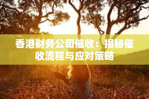 香港财务公司催收：揭秘催收流程与应对策略