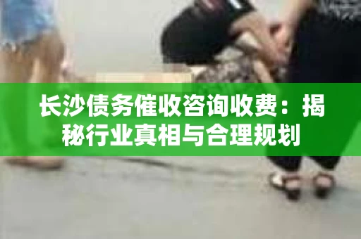 长沙债务催收咨询收费：揭秘行业真相与合理规划