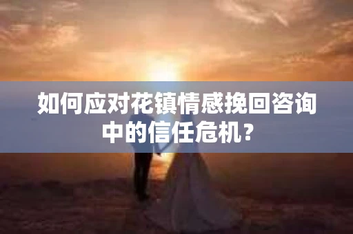 如何应对花镇情感挽回咨询中的信任危机？