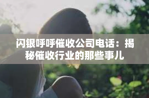 闪银呼呼催收公司电话：揭秘催收行业的那些事儿