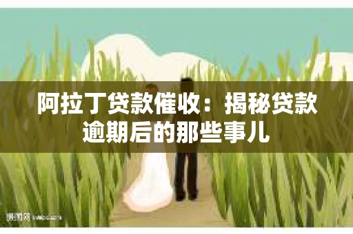 阿拉丁贷款催收：揭秘贷款逾期后的那些事儿