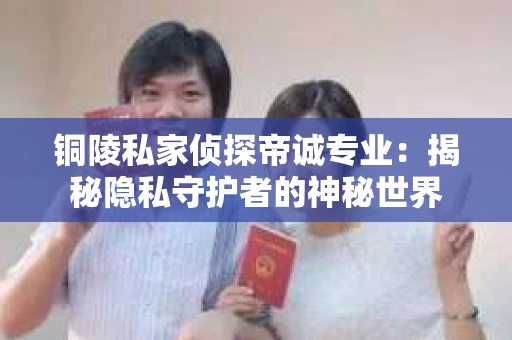 铜陵私家侦探帝诚专业:揭秘隐私守护者的神秘世界 铜陵私家侦探帝诚专业:揭秘隐私守护者的神秘世界