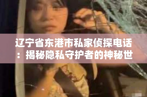辽宁省东港市私家侦探电话：揭秘隐私守护者的神秘世界