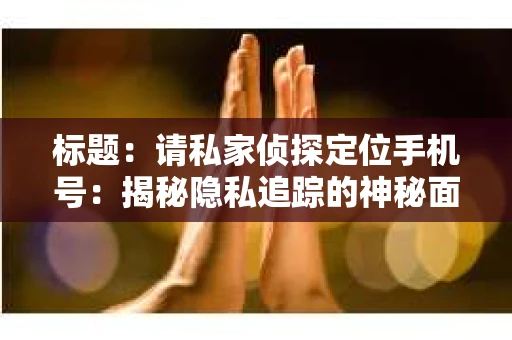标题：请私家侦探定位手机号：揭秘隐私追踪的神秘面纱