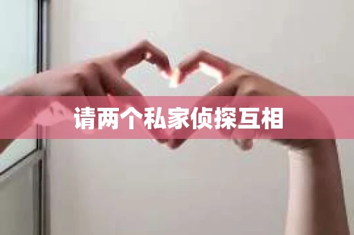 请两个私家侦探互相