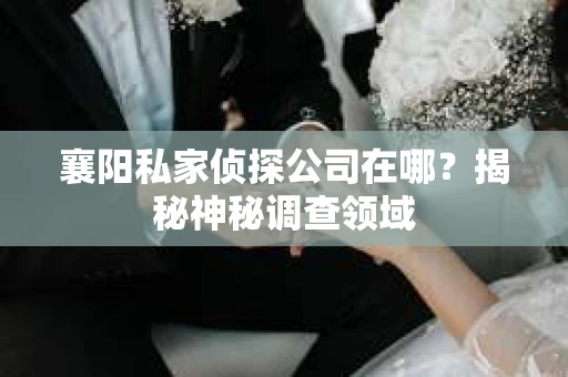 襄阳私家侦探公司在哪？揭秘神秘调查领域