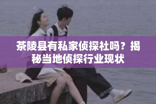 茶陵县有私家侦探社吗？揭秘当地侦探行业现状