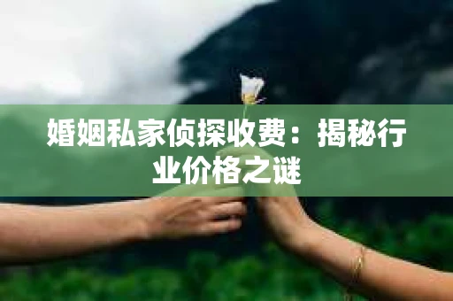 婚姻私家侦探收费:揭秘行业价格之谜 婚姻私家侦探收费:揭秘行业价格之谜