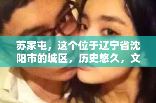 苏家屯，这个位于辽宁省沈阳市的城区，历史悠久，文化底蕴深厚。近年来，随着社会的发展，人们对于私家侦探的需求也逐渐增加。那么，苏家屯有私家侦探吗？今天，我们就来聊聊这个话题。