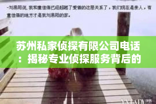 苏州私家侦探有限公司电话：揭秘专业侦探服务背后的故事