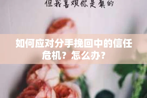 如何应对分手挽回中的信任危机?怎么办? 如何应对分手挽回中的信任危机?怎么办?