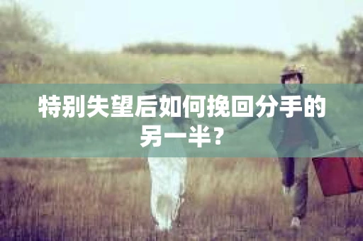 特别失望后如何挽回分手的另一半? 特别失望后如何挽回分手的另一半?