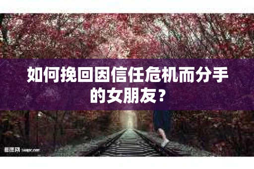 如何挽回因信任危机而分手的女朋友? 如何挽回因信任危机而分手的女朋友?