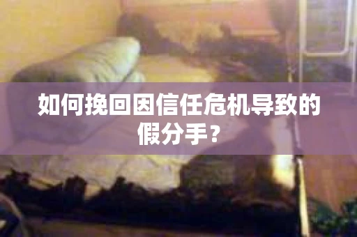 如何挽回因信任危机导致的假分手? 如何挽回因信任危机导致的假分手?