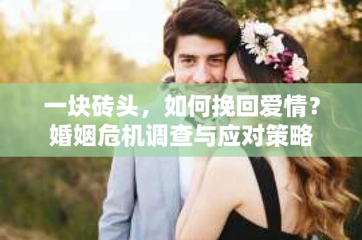 一块砖头，如何挽回爱情？婚姻危机调查与应对策略