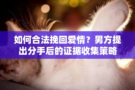 如何合法挽回爱情?男方提出分手后的证据收集策略 如何合法挽回爱情?男方提出分手后的证据收集策略